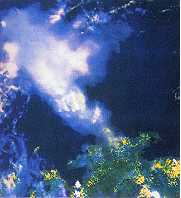 De aswolk van de Pinatubo op de Filipijnen heeft de ozonafname in de stratosfeer in 1991 verergerd.