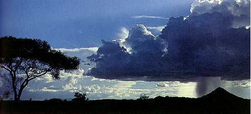 Een bui  boven het Serengeti-natuurreservaat in Tanzania. Buien uit goed ontwikkelde Cumuluswolken kunnen zeer zwaar zijn.