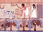 6.000 jaar geleden ontstond de landbouw in Egypte. De Sahara was toen veel vruchtbaarder dan nu.